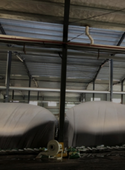 TG反波胆·(中国区)官方网站